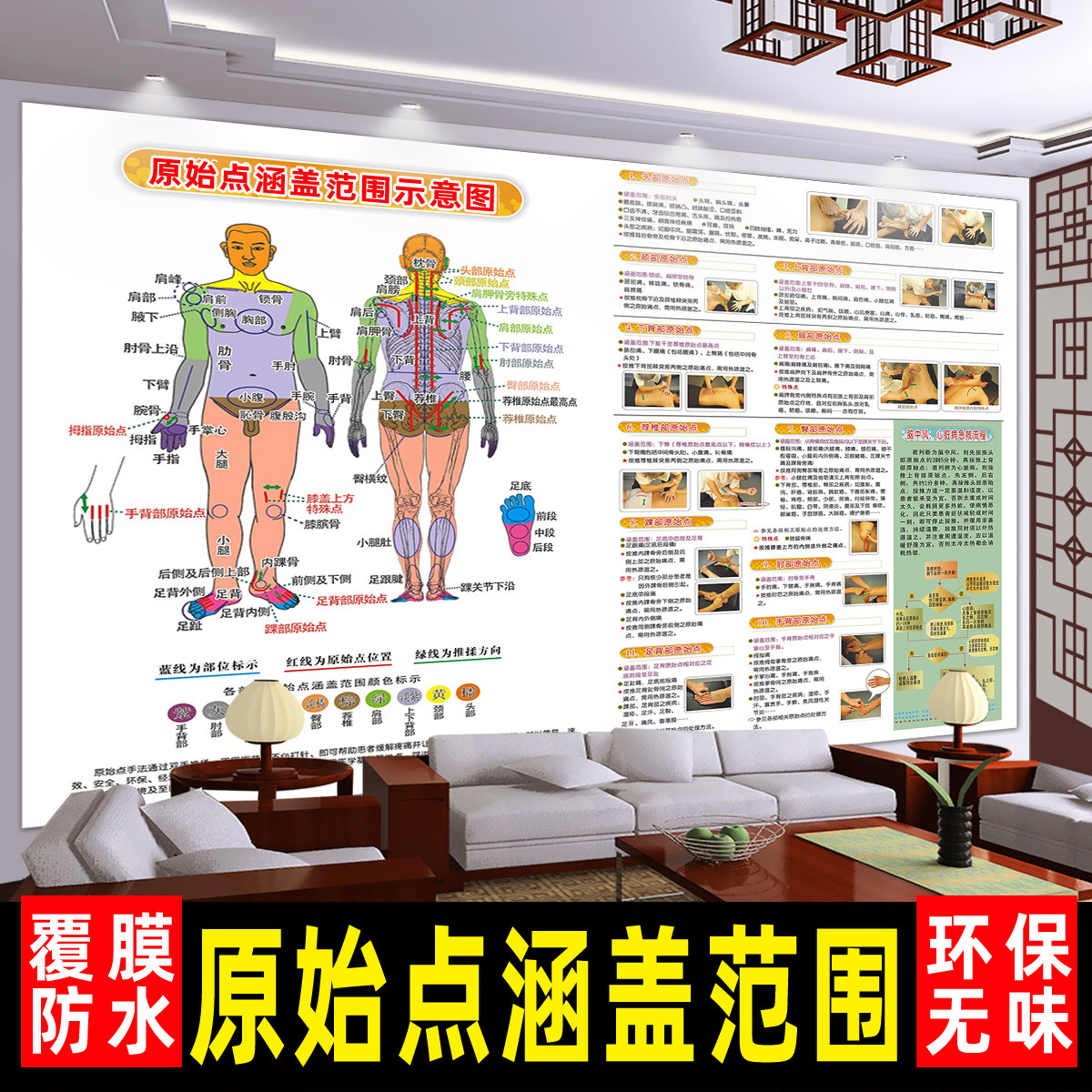 推拿医学原始点壁画原始点涵盖范围示意图理疗养生馆装饰画挂图