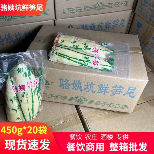 骆姨坑鲜笋尾麻竹笋清远特产笋尖