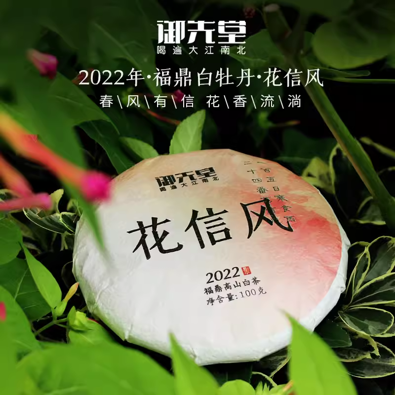 闪降茶研社【2022花信风饼100g】高山白茶白牡丹福鼎大洋山白茶