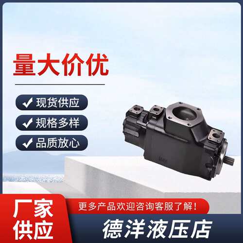 DESON丹尼逊 T6EDC(S)三联泵 T6EDC(S)-072-025-020-1R00-A1F0