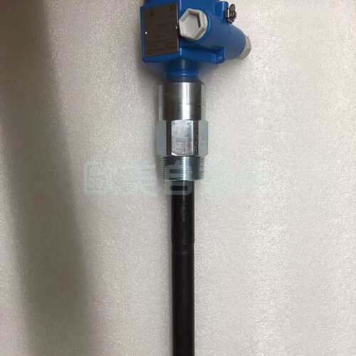 Endress+Hauser H10019250FE 电容物位计 FTI55-AAA1RV123A1A
