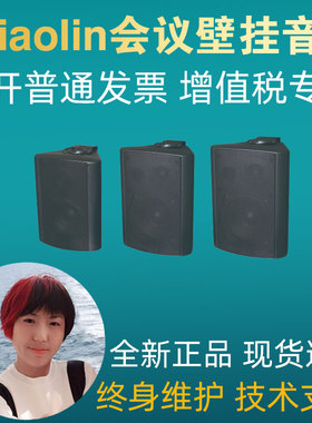 nniaolin会议培训室壁挂音箱MQ-217/217P/218/218P/219/219P音响