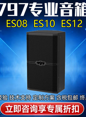797audio北京七九七专业音箱ES08 10 12全频会议室多功能厅音响