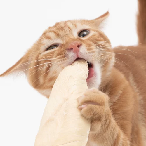 PIDAN鸡胸肉猫零食袋装