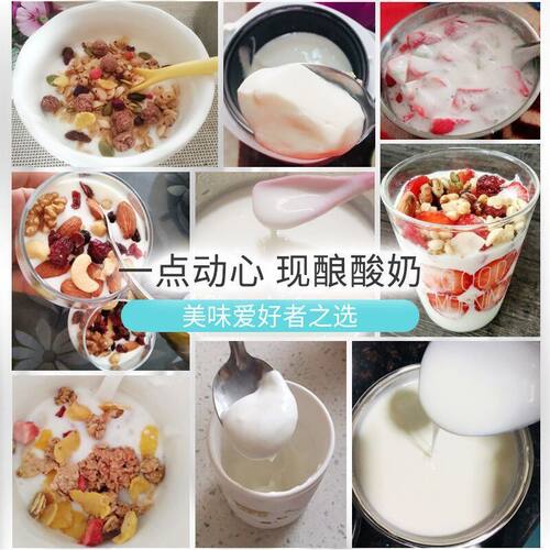 小熊酸奶机SNJ-B10K1/B10U3/C10H1/C10P2适用菌粉甜酒曲