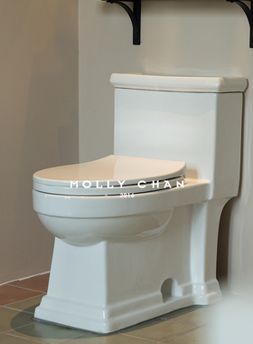 MOLLY CHAN陶瓷马桶一体坐便器家用卫生间静音马桶虹吸式防臭