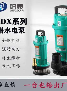 QDX系列220V家用小型潜水泵农用灌溉高扬程大流量大口径抽水泵