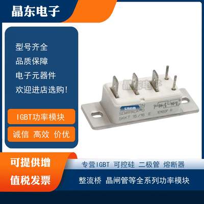 熔断器SKKT15/06E SKKT15/08E SKKT15/12E SKKT15/14E SKKT15/16E