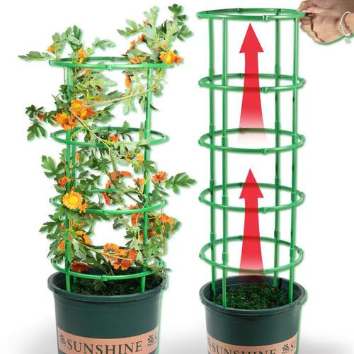 蟹爪兰专用支架支撑杆