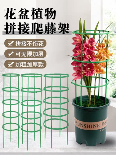 花架子室内家用支架通用型蟹爪兰花架莲花护叶架园艺盆栽支撑杆