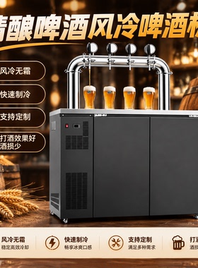 风冷扎啤机精酿啤酒售酒机