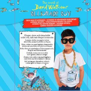 #亿万男孩 钱堆里的男孩配饰BILLIONAIRE BOY大卫·威廉姆斯书籍