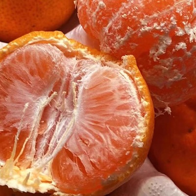 尖山蜜桔新鲜无籽橘子薄皮青皮当季酸甜孕妇水果柑橘早熟桔子蜜橘