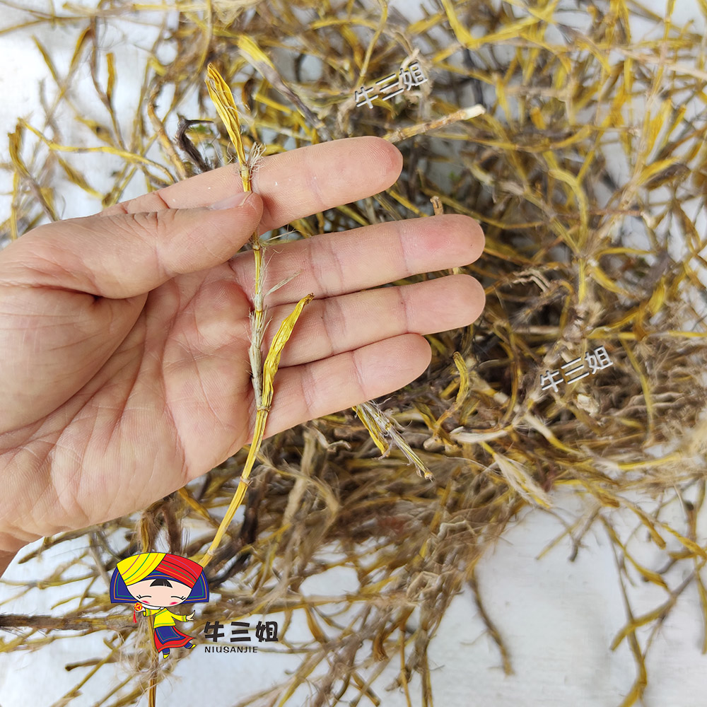 有瓜石斛干货金果石斛石角草500g
