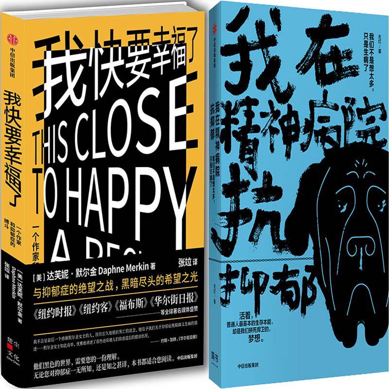 我快要幸福了 我在精神病院抗抑郁共2册 作者:戴芬妮·默金 左灯著p