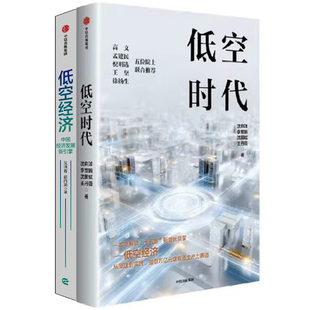 低空时代+低空经济共2册 作者:沈向洋 李世鹏 沈国斌 王丹薇等 出版社:中信出版社