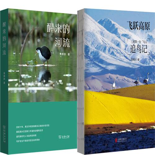 醒来的河流飞跃高原肖辉跃