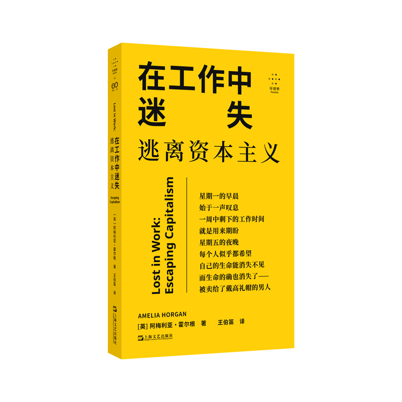 在工作中迷失 作者:阿梅利亚霍尔根 出版社:上海文艺出版社
