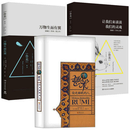 【正版现货包邮】鲁米作品(全3册)鲁米:偷走睡眠的人 让我们来谈谈