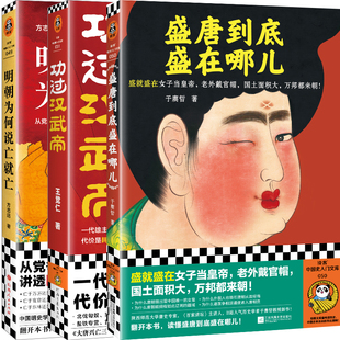 盛唐到底盛在哪儿+功过汉武帝+明朝为何说亡就亡共3册 作者:于赓哲 王觉仁 方志远 中国历史