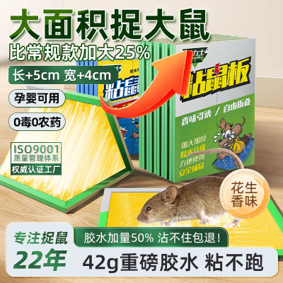 25%加大面积42g强力胶大鼠粘鼠板