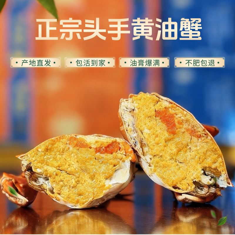 鲜活头手黄油蟹流油膏油蟹特大野生青蟹母蟹顺丰包活单只海鲜礼品