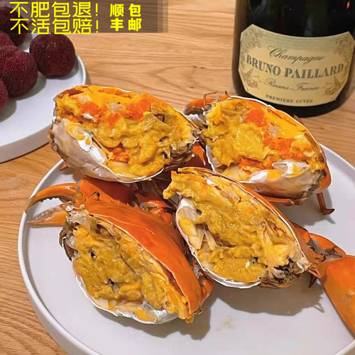 正宗鲜活黄油蟹野生膏油蟹5-6两