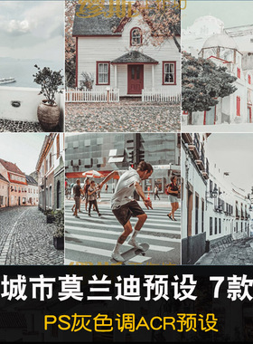 PS预设莫兰迪城市街拍风景高级灰 摄影后期ACR调色滤镜7款灰色调