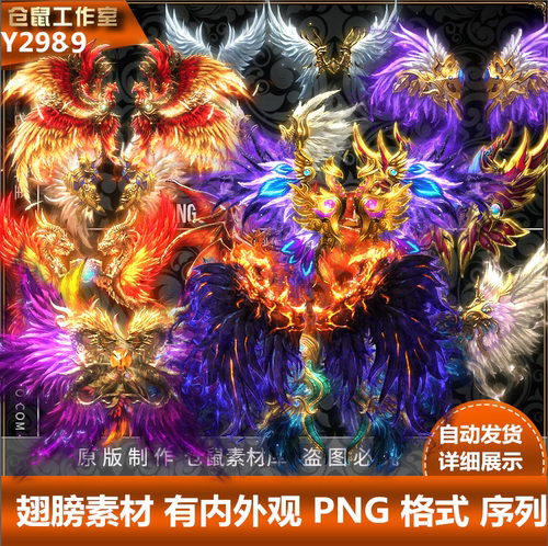 传奇翅膀素材 有内外观 PNG 格式素材序列打包 统一对其   Y2989