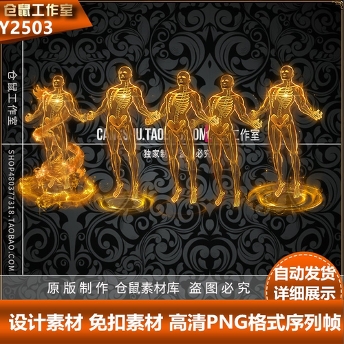 传奇元神素材 高清动态骨骼渡劫飞升  5 组 高清PNG格式 Y2503