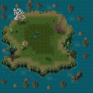 传奇地图素材  出生地荷花月色 高清动态独立地砖无缝封边 DT676