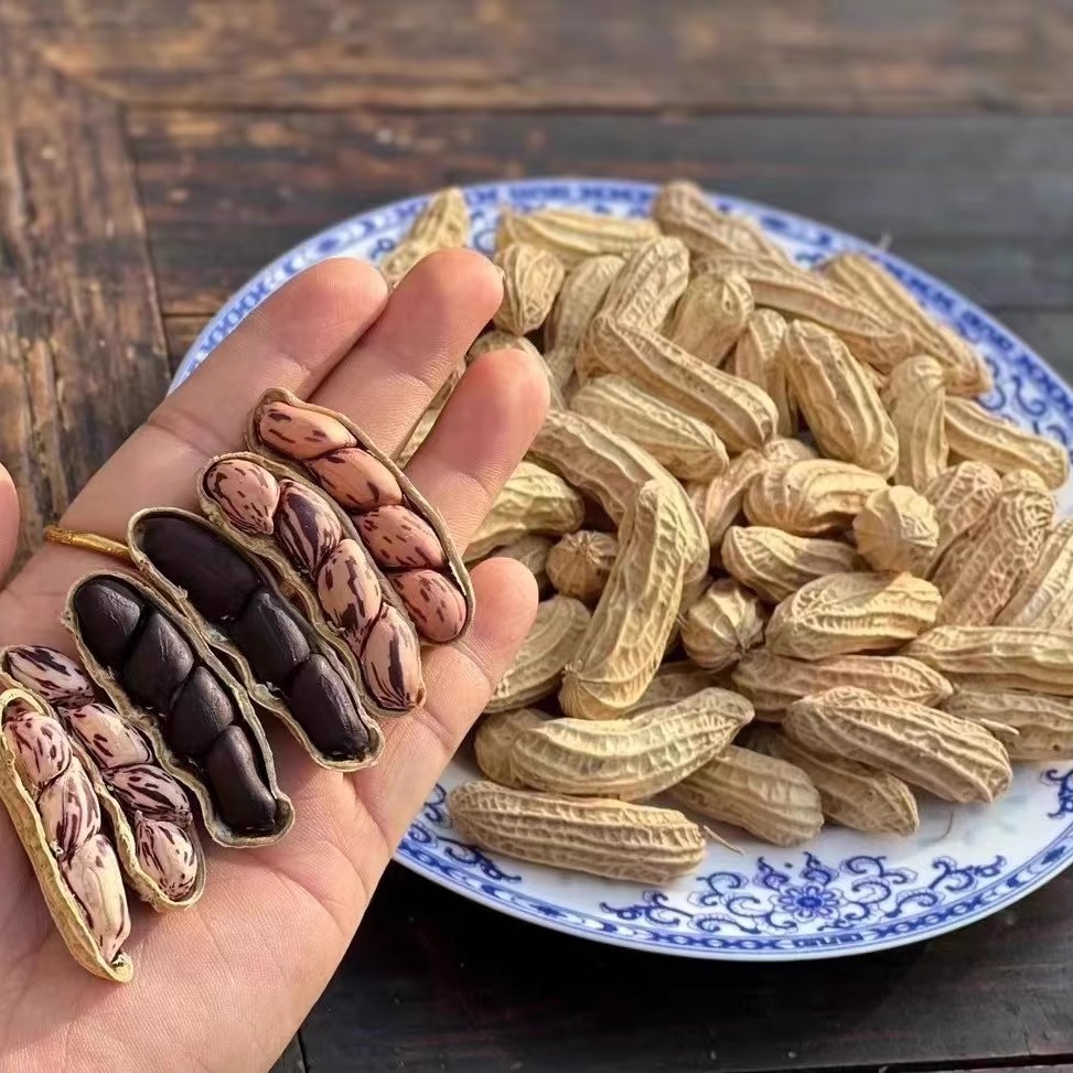 带壳生花生云南野地七彩花生/黑花生新鲜 原色原味清甜傣家老品种