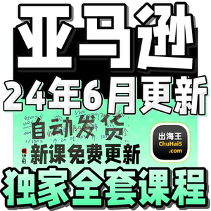 2024 Amazon 亚马逊电商运营课程 开店选品实操指导培训视频教程