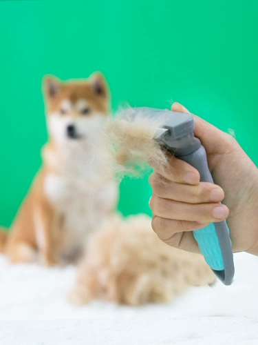 Расческа для домашних собак расчесывает артефакт для кошачьего кошачья щетка Shiba inu Cocyli маленькие и средние собаки, чтобы поплавать кисти собачьи волосы