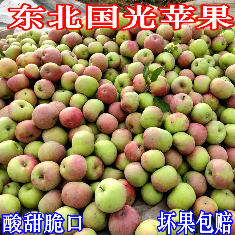 辽宁老品种国光苹果5斤顺丰包邮图片