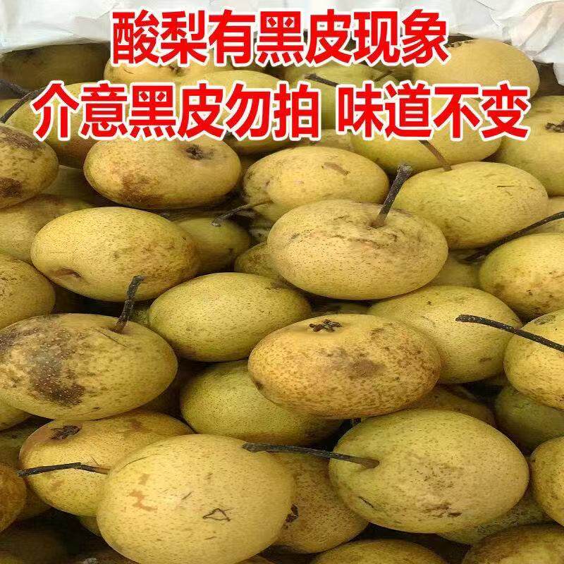 酸梨安梨东北特产正宗辽宁绥中酸梨河北大酸梨开胃酸甜5斤装包邮