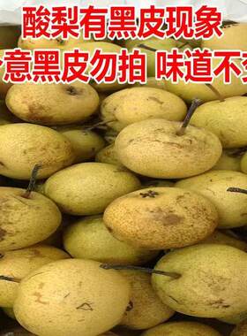 酸梨安梨东北特产正宗辽宁绥中酸梨河北大酸梨开胃酸甜5斤装包邮