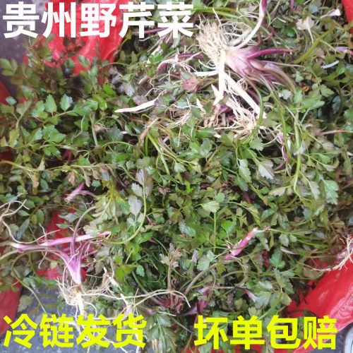 顺丰贵州高山野芹菜新鲜红芹菜