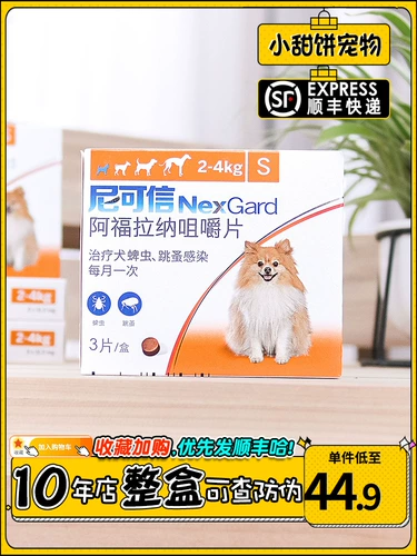 Гражданская болезнь Нигера S 2-4 кг маленькие собаки и собаки доступны для продажи