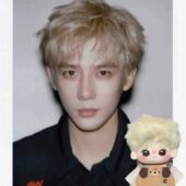 人气金发王安宇毛绒周边20cm属性明星同人棉花娃娃公仔可爱玩偶