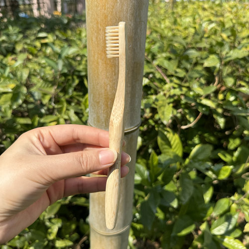 10支 竹纤维牙刷 成人环保竹木牙刷 bamboo toothbrush