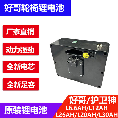 九圆好哥斯维驰锂电池24v6A12A20