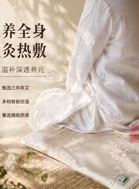 新中式缎面艾绒电热坐垫艾草暖垫