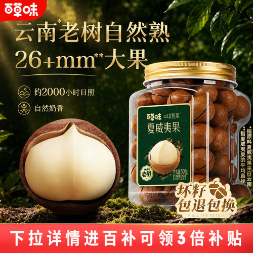 百草味夏威夷果罐装500g健康特大颗粒新货坚果休闲零食干果批发