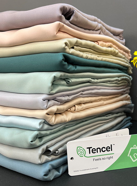 可定制100s兰精天丝单床笠纯色单件丝滑裸睡夏季家用床品定做床单