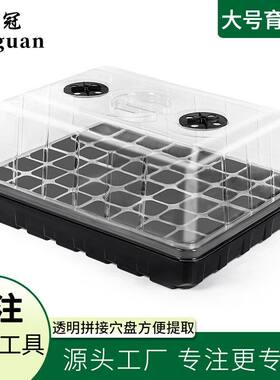 收纳箱三件套培育大号穴盘发芽