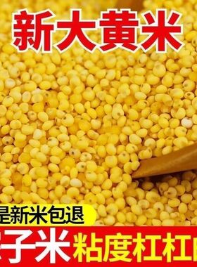 大黄米农家糜子包粽子