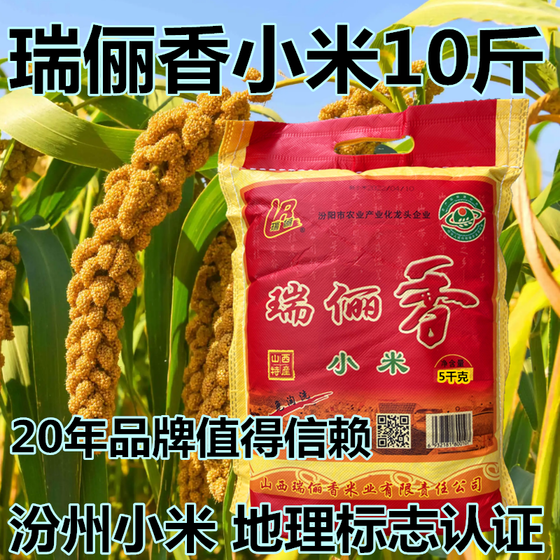 山西汾阳特产 瑞俪香瑞丽香黄小米10斤 油小米熬稀饭小黄米新米