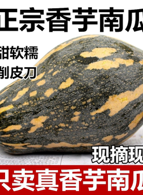 正宗广西香芋南瓜宝宝辅食芋头味老小南瓜新鲜蔬菜非贝贝板栗南瓜