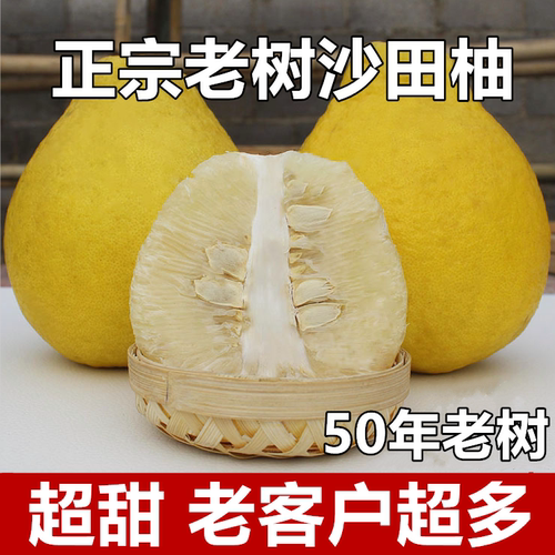 【纯甜】正宗沙田柚白肉柚子广西香柚新鲜应季水果非广东梅州容县